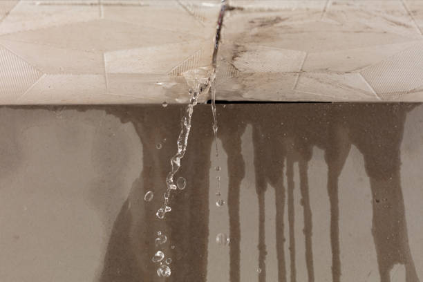 Professional Structural Drying technician working in Higbee, MO